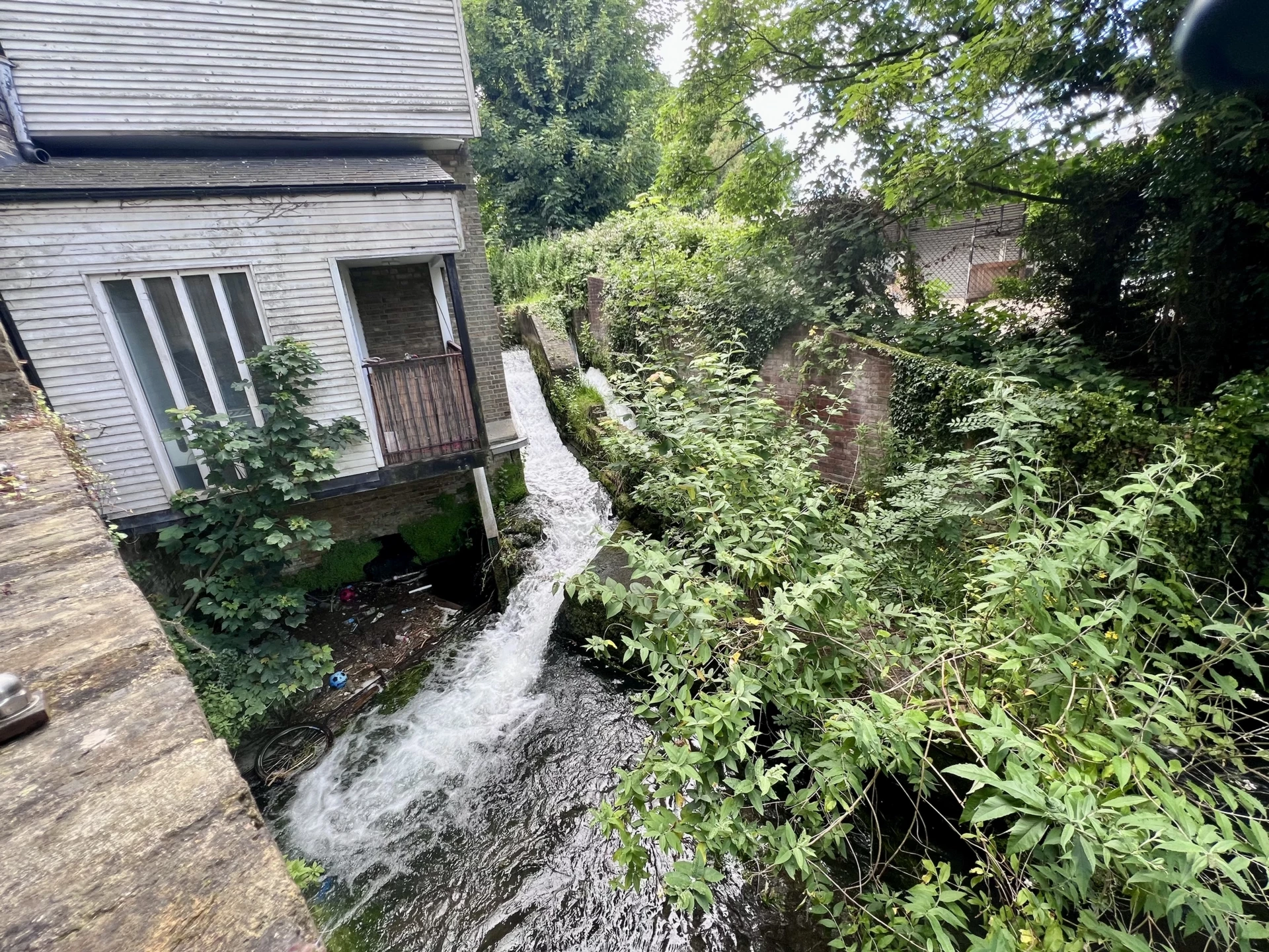 Photo 16
