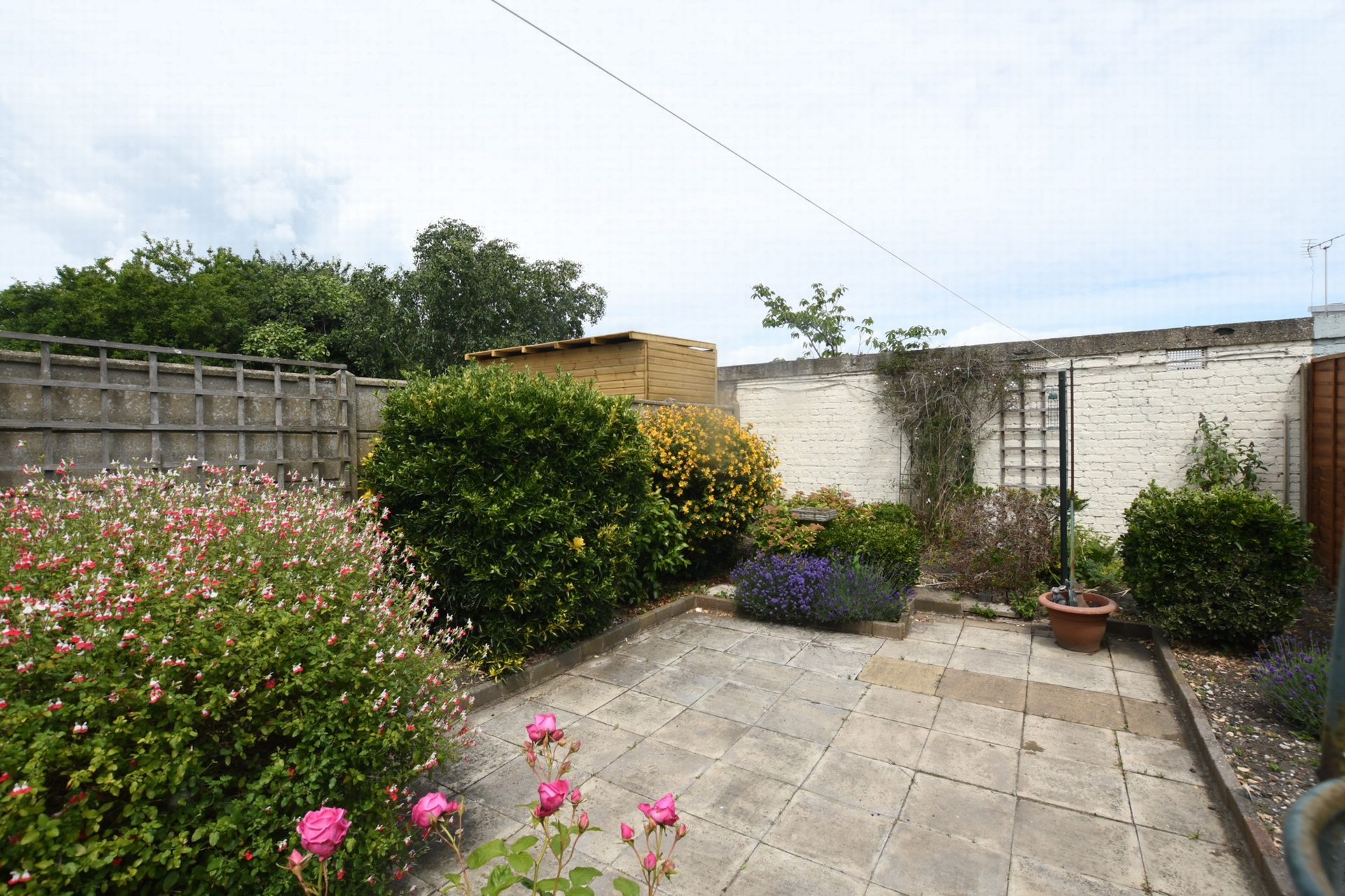 Rear garden