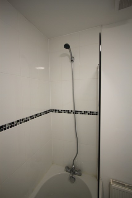 Shower over bath