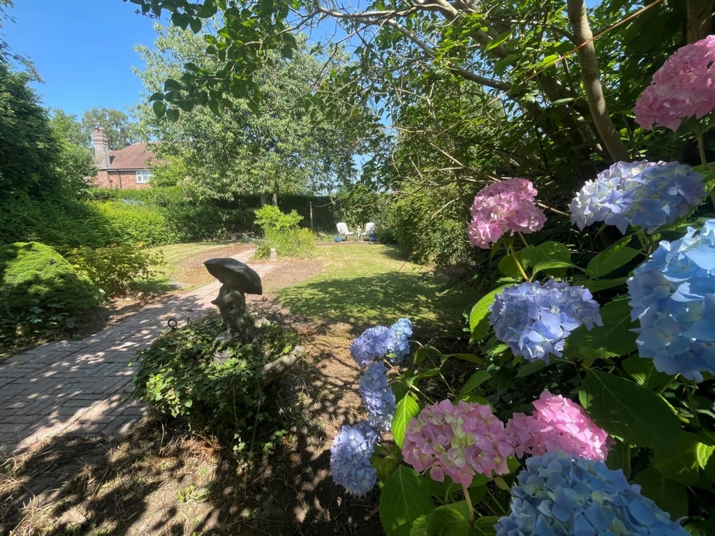 Photo 22
