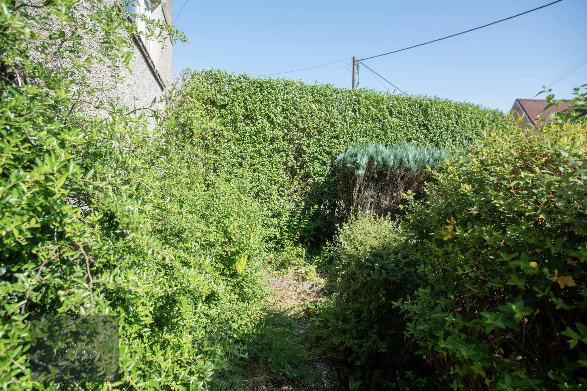 Photo 40