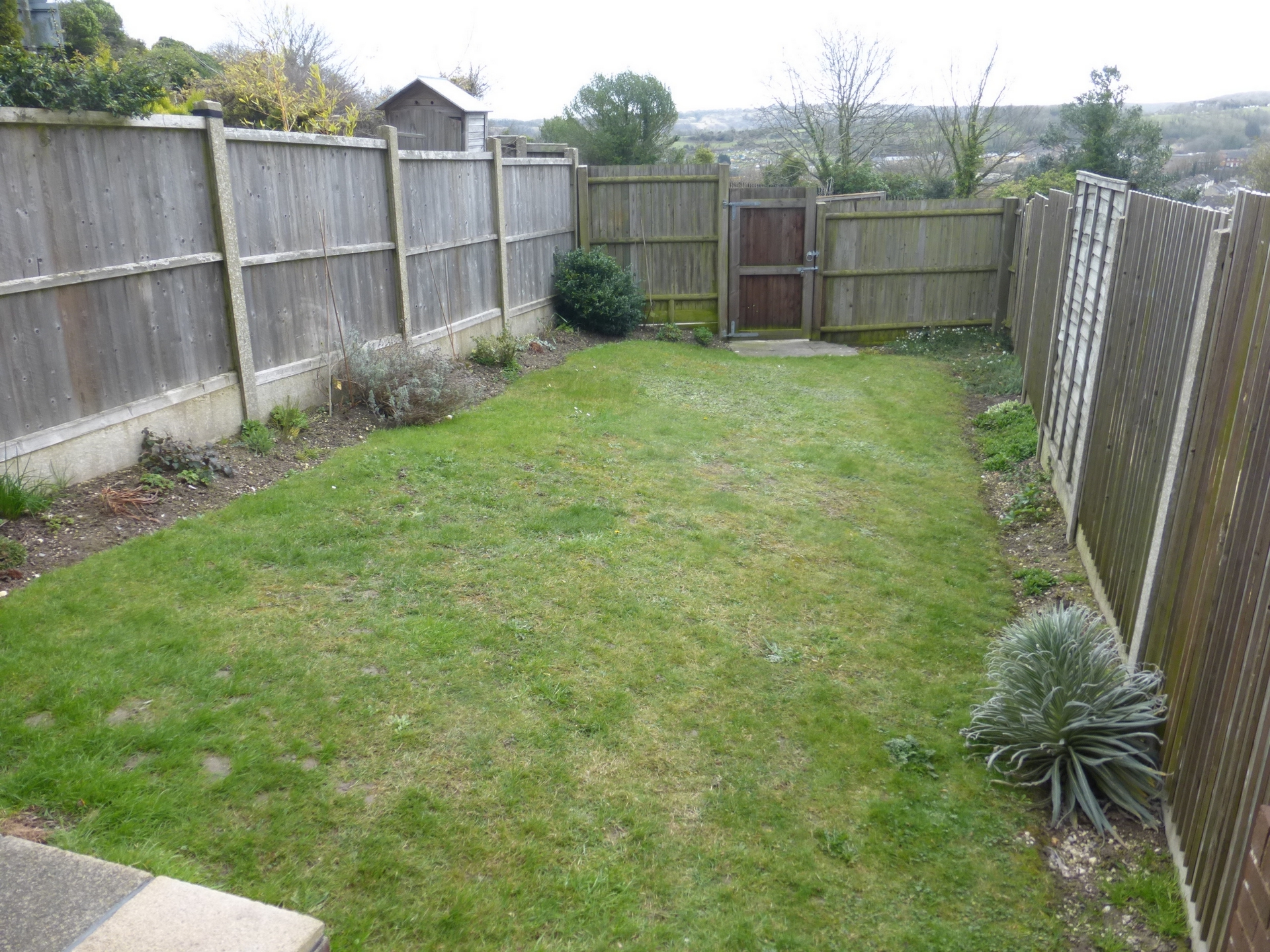 Rear garden