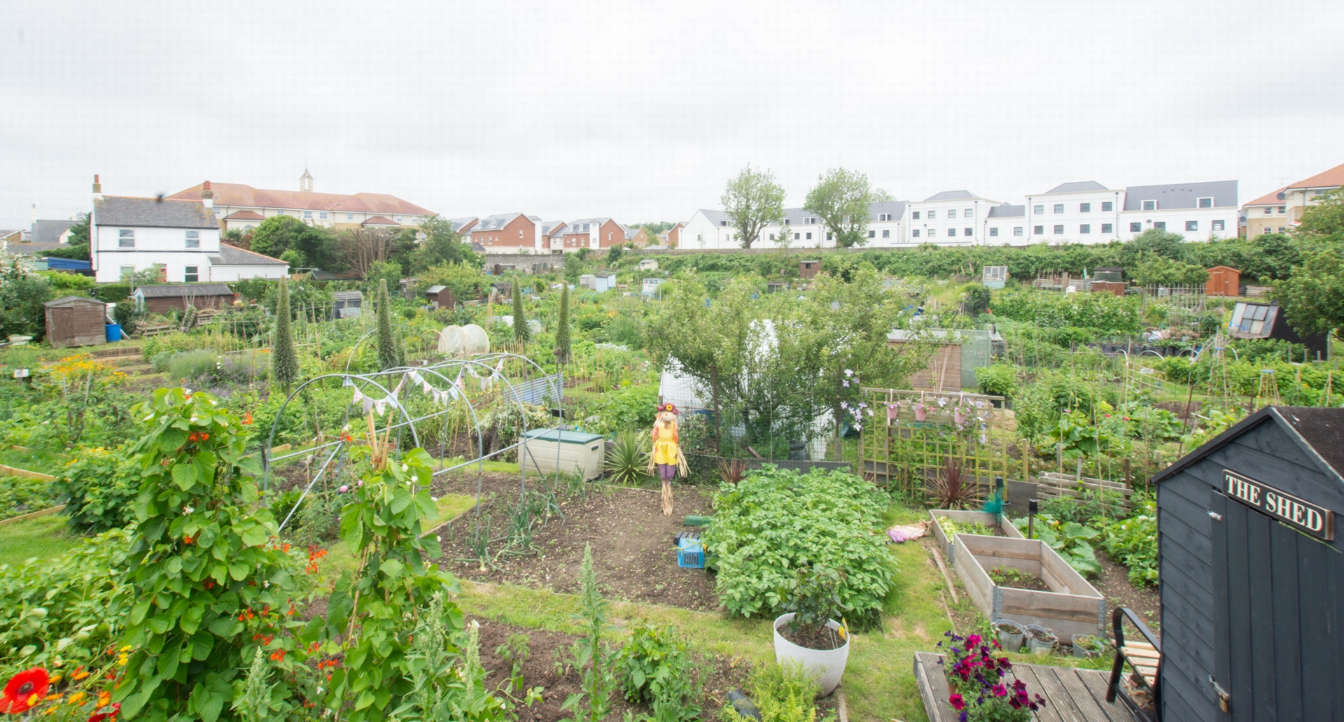 Allotment views