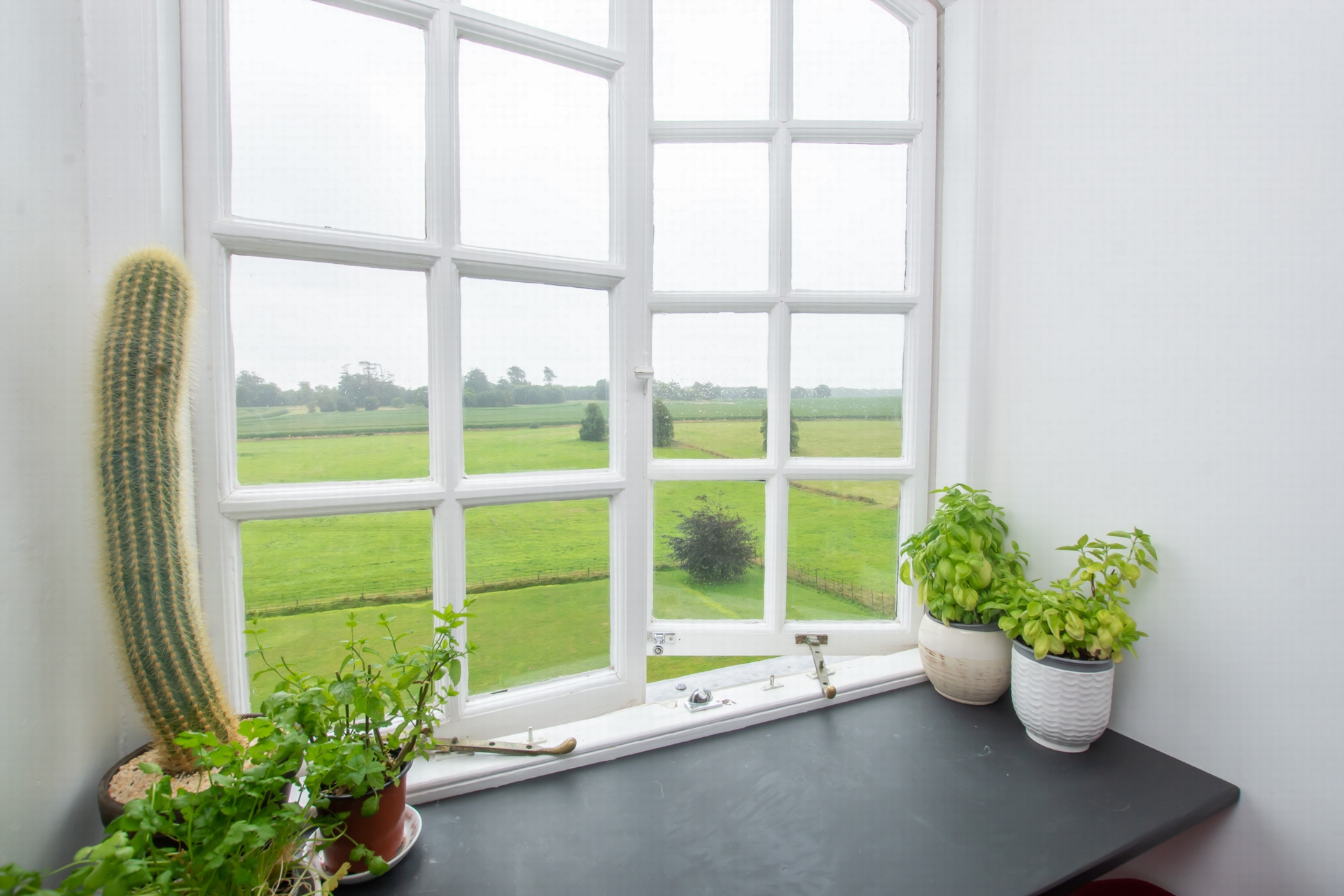 Kitchen view