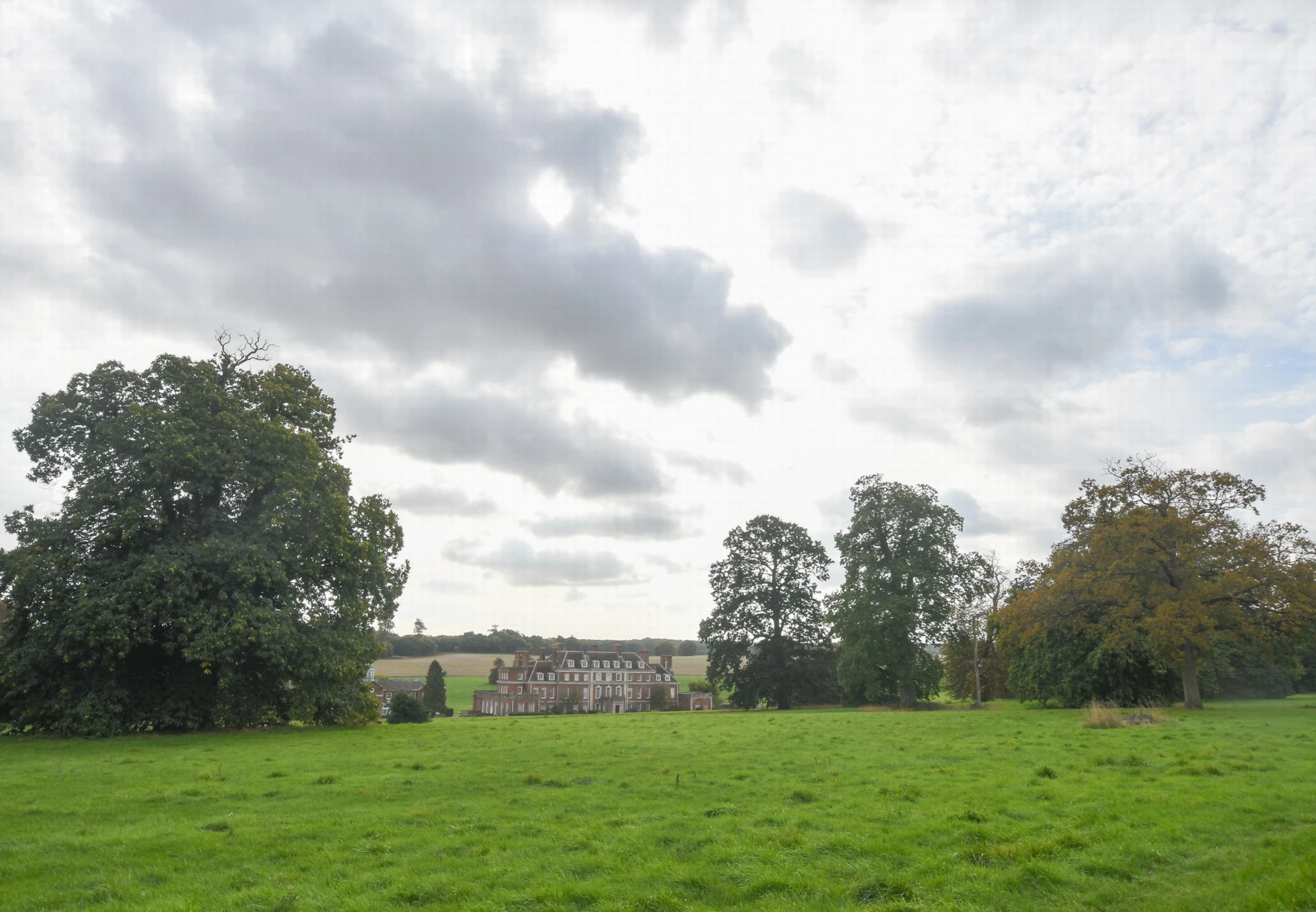 Grounds
