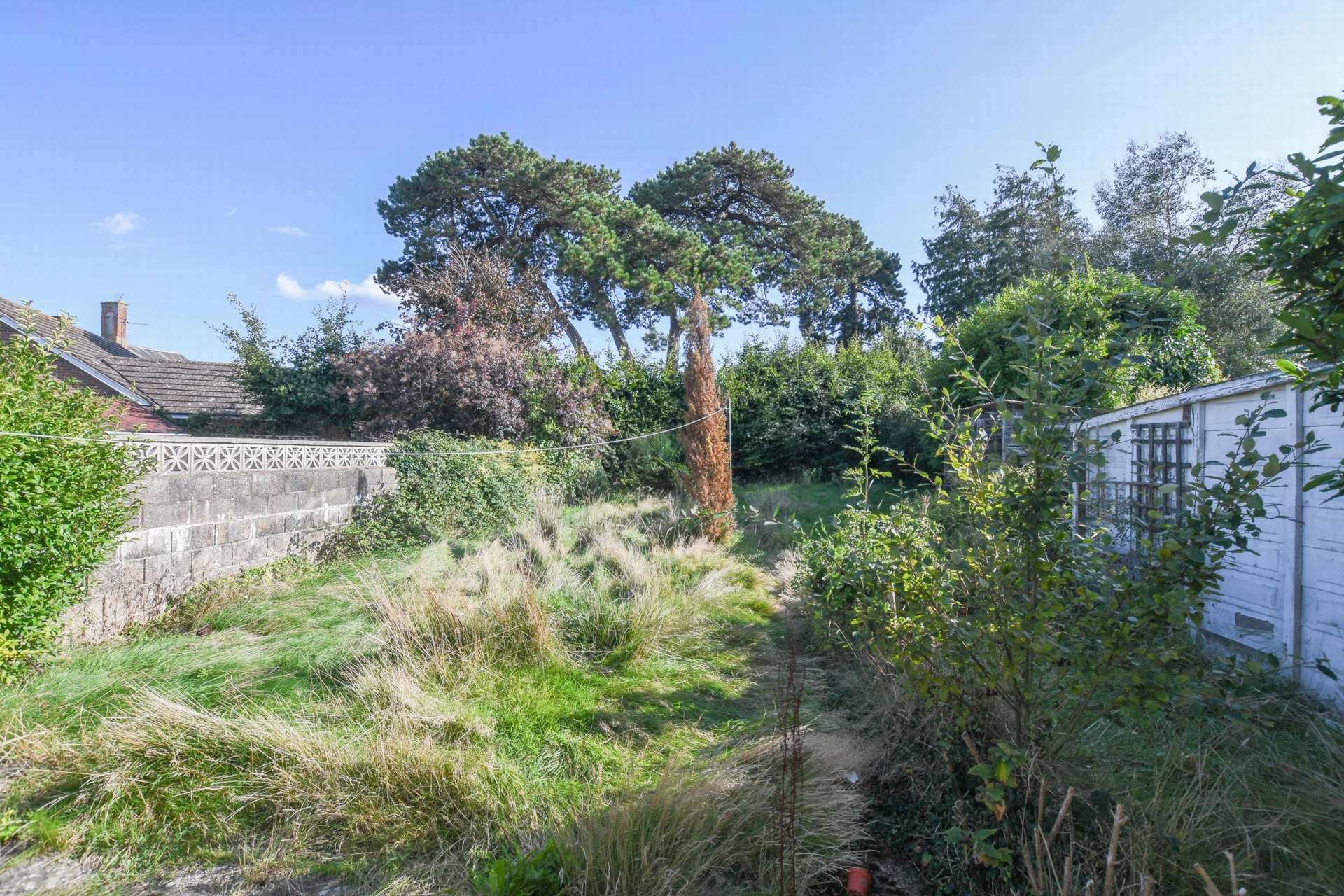 Rear garden