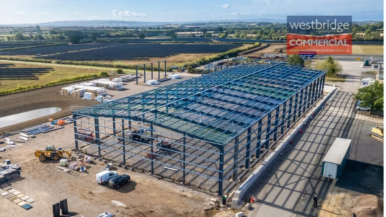 watermarked front.jpg