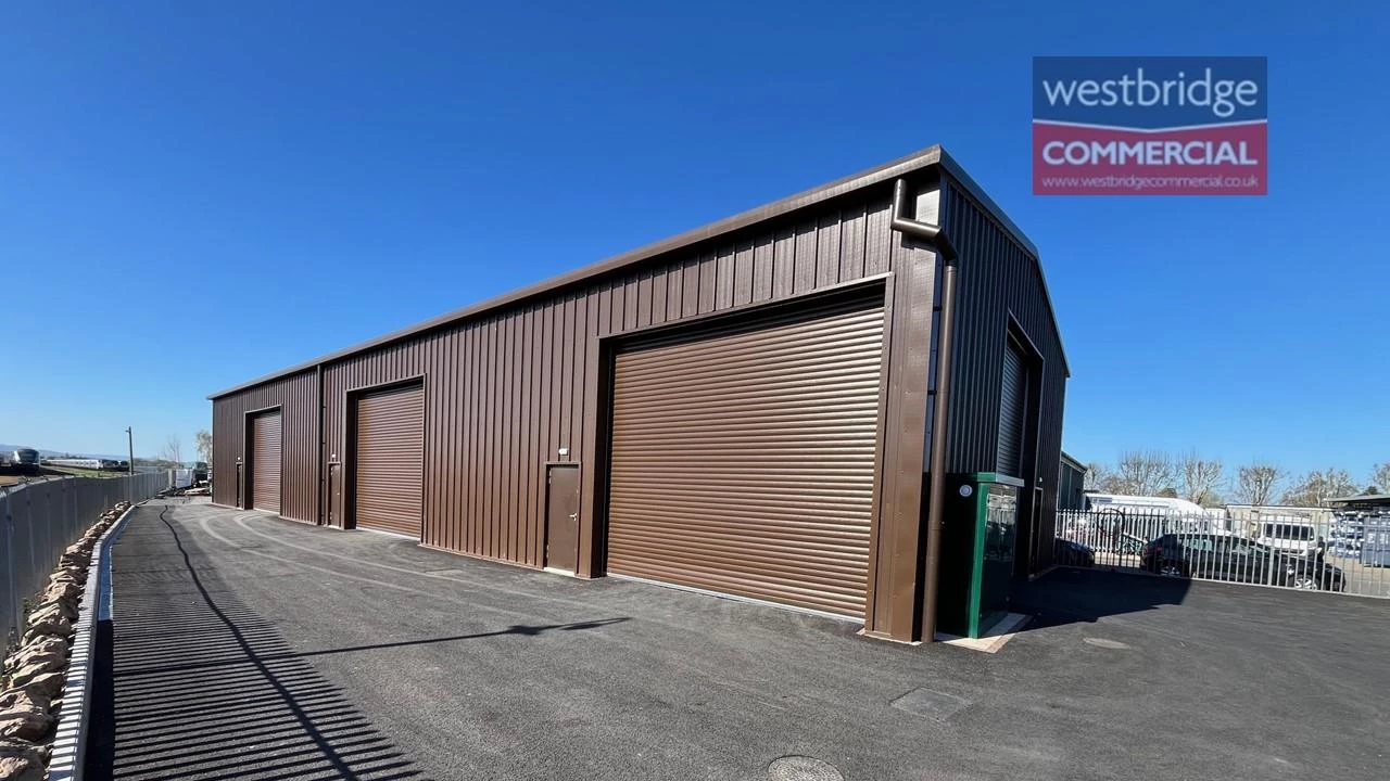 Watermarked front.jpg