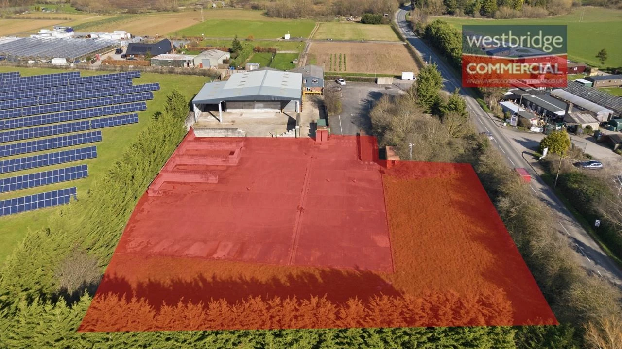 Yard watermarked.jpg