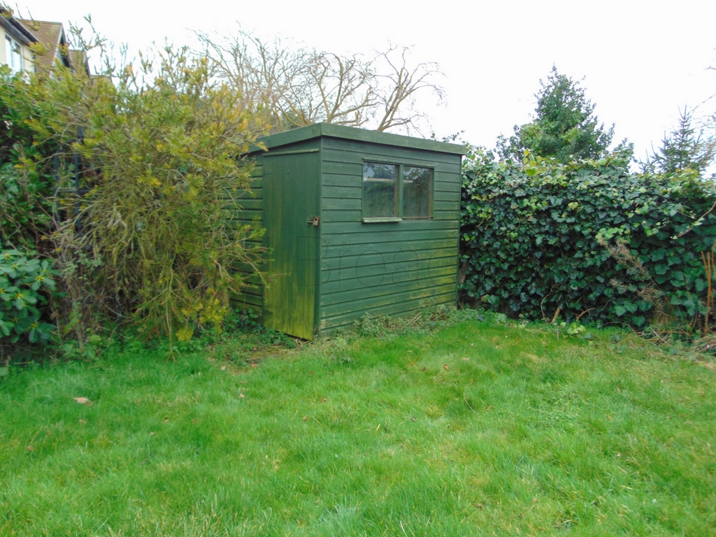 Shed 1