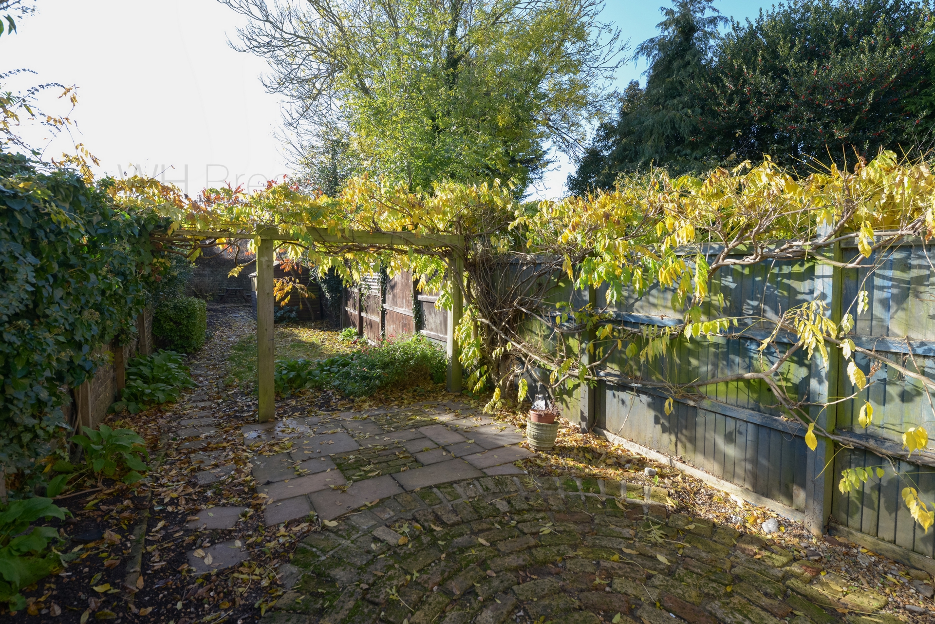 Photo 8