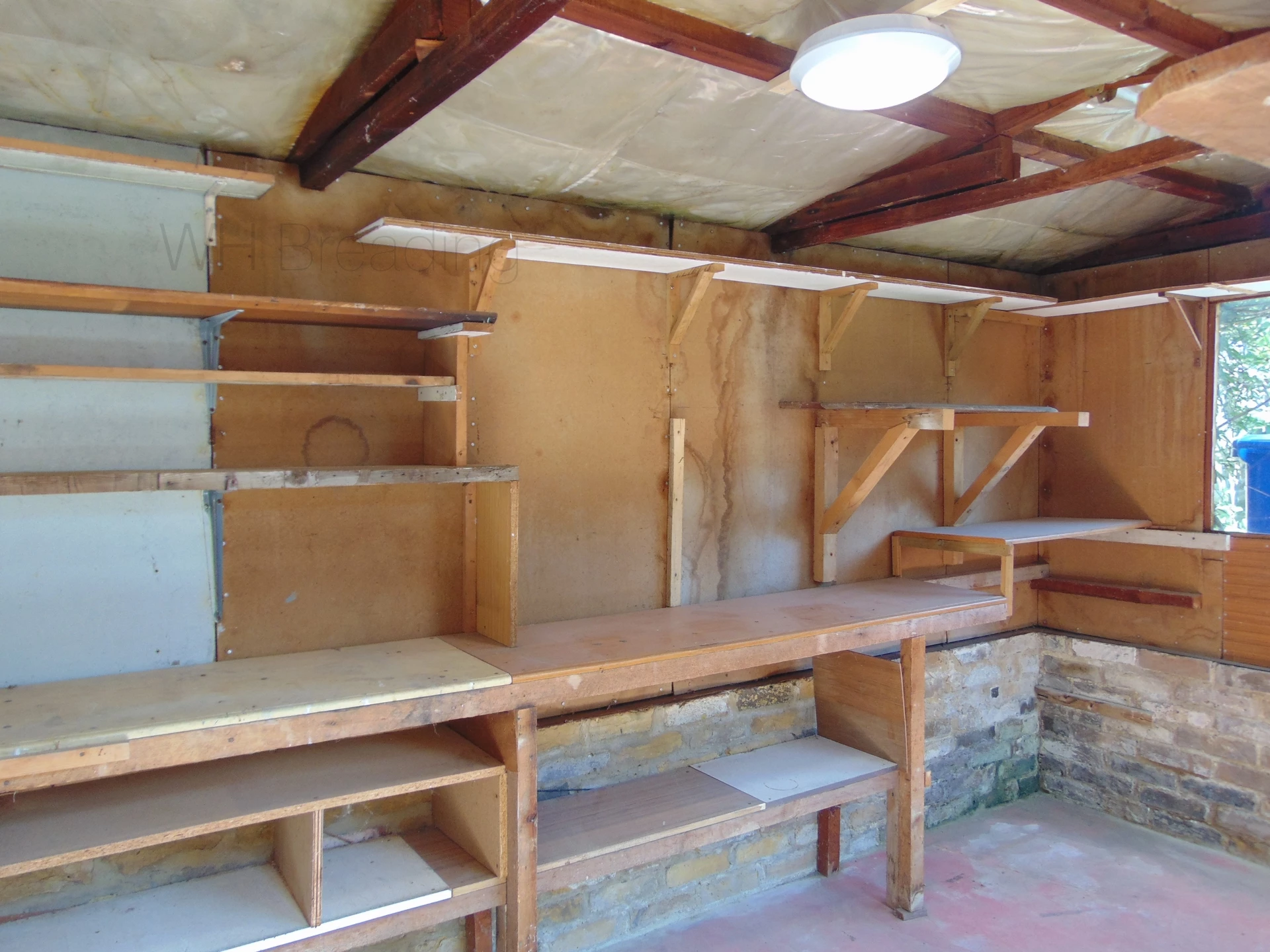 Photo 11