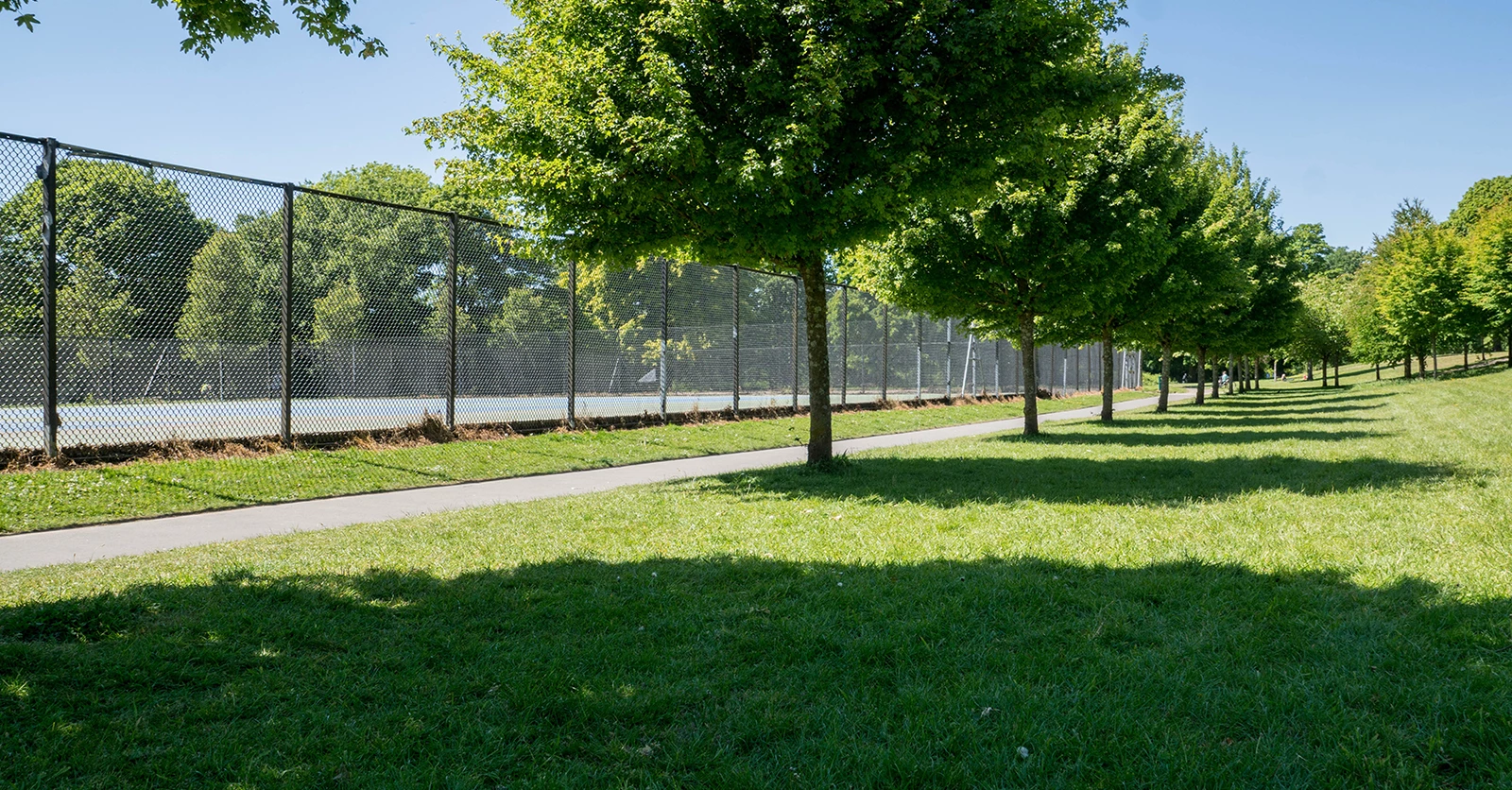 Guide to Llandaff North Guide to Llandaff North