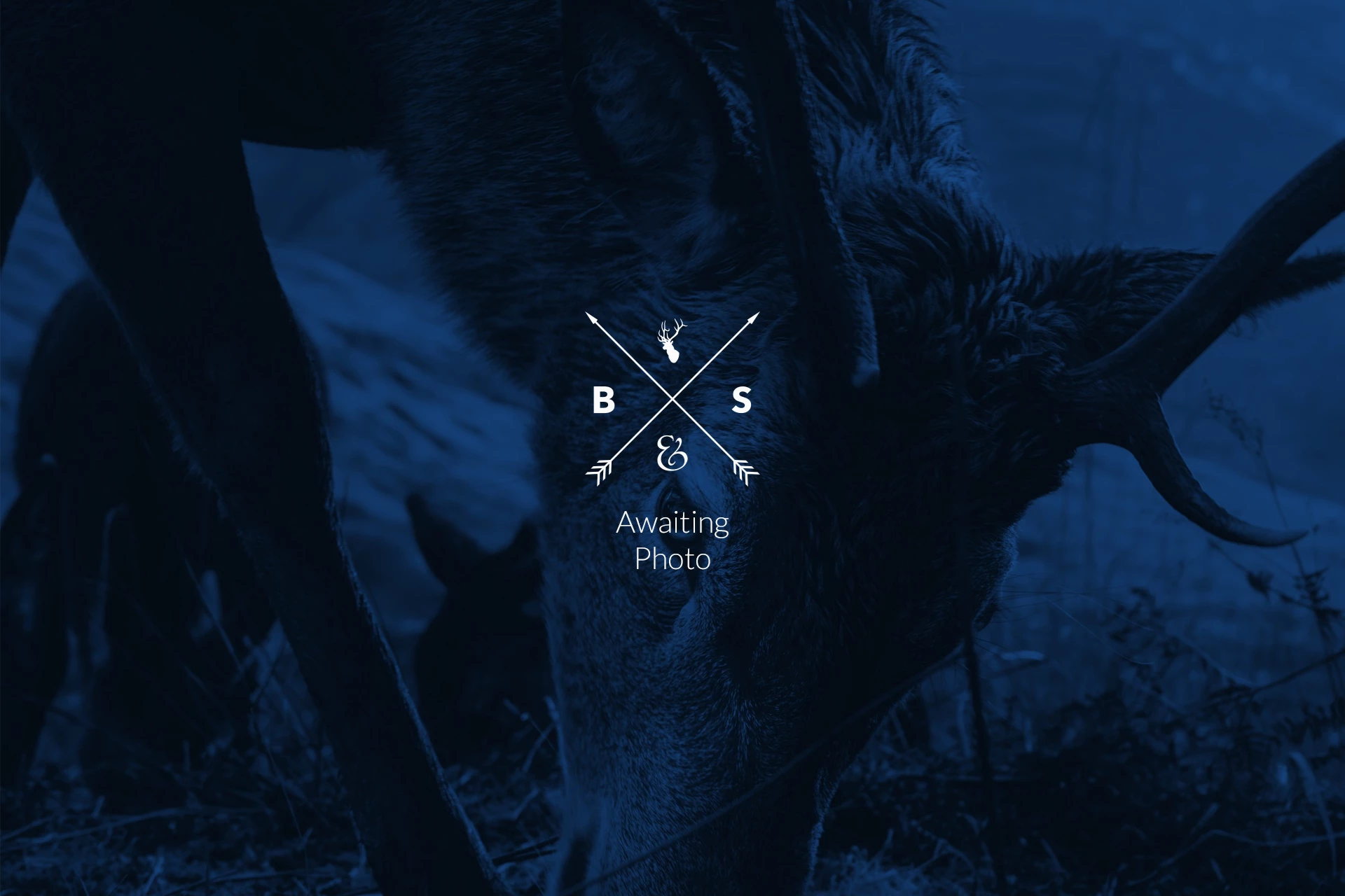 Similar Property: Apartment - Ground Floor in Old Harlow