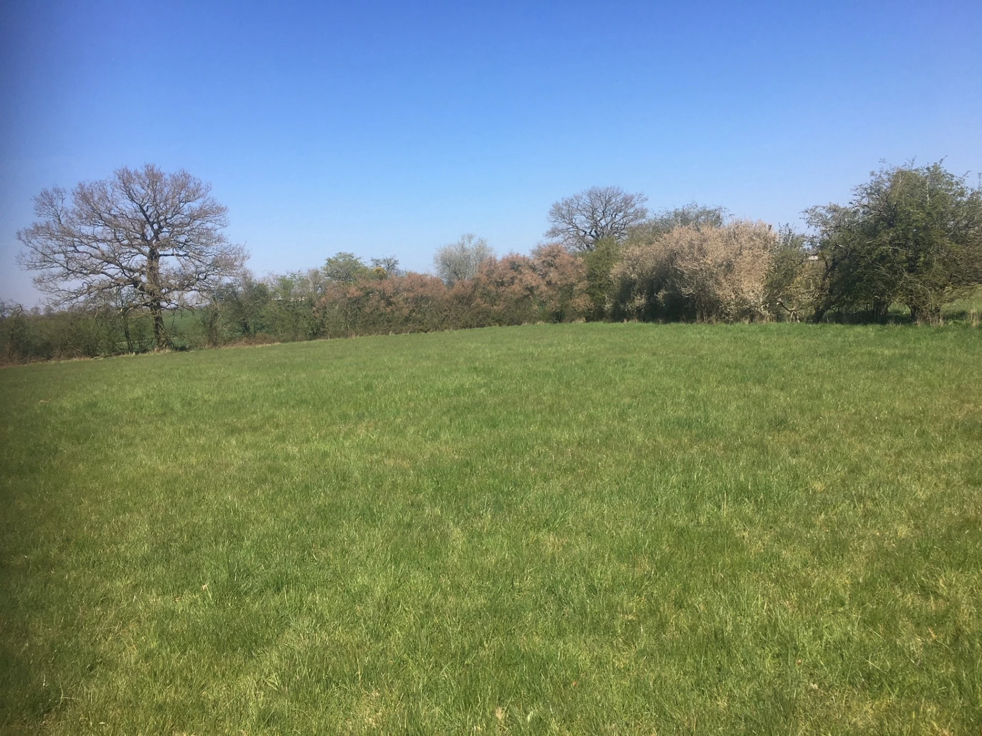 Hay Lane Shernal Green Droitwich WR9