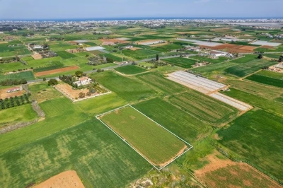 Property photo: Frenaros, Famagusta