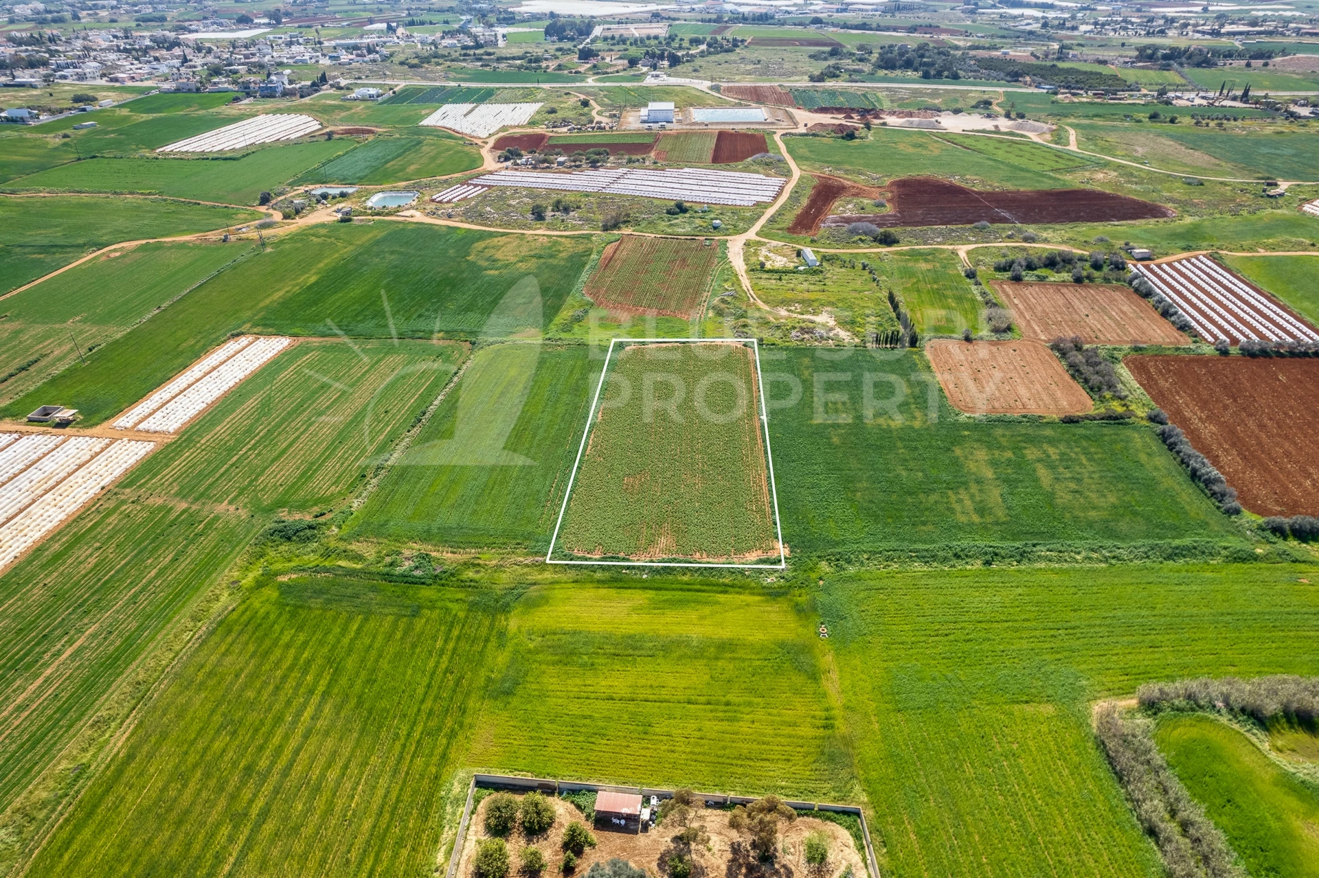 Property photo: Frenaros, Famagusta