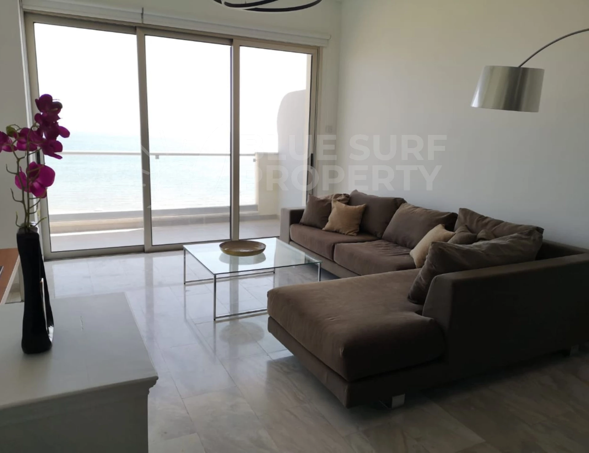 Property photo: Finikoudes, Larnaca, 6023