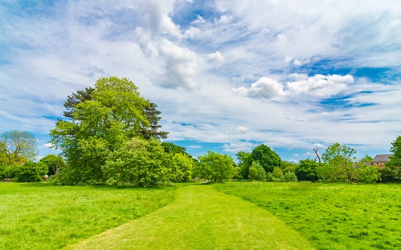 Beautiful Avery Hill Park in New Eltham SE9