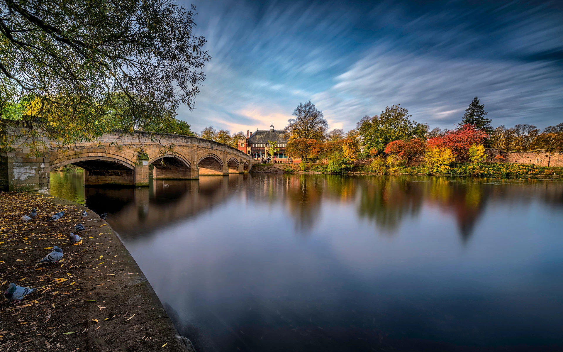 Thinking of letting?