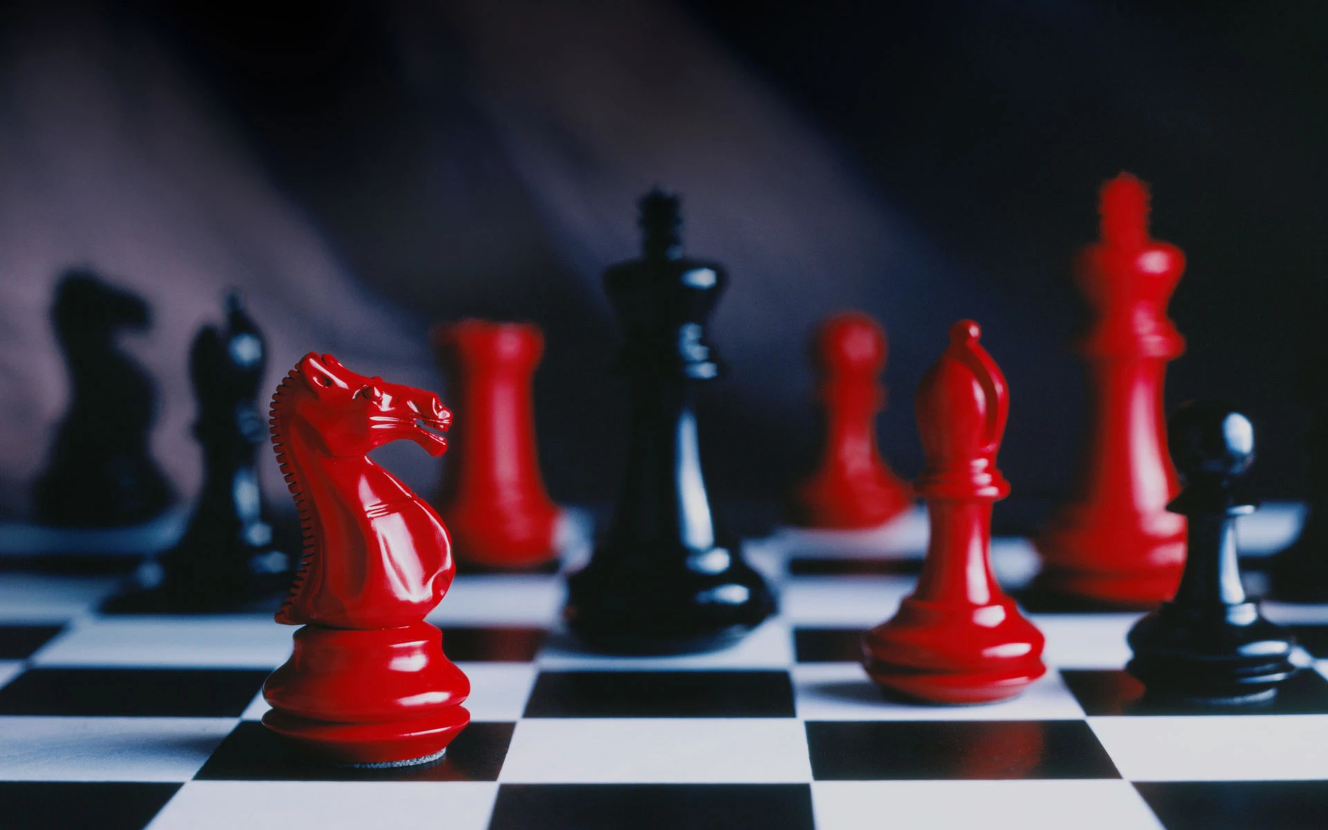 Investor Portfolio Services