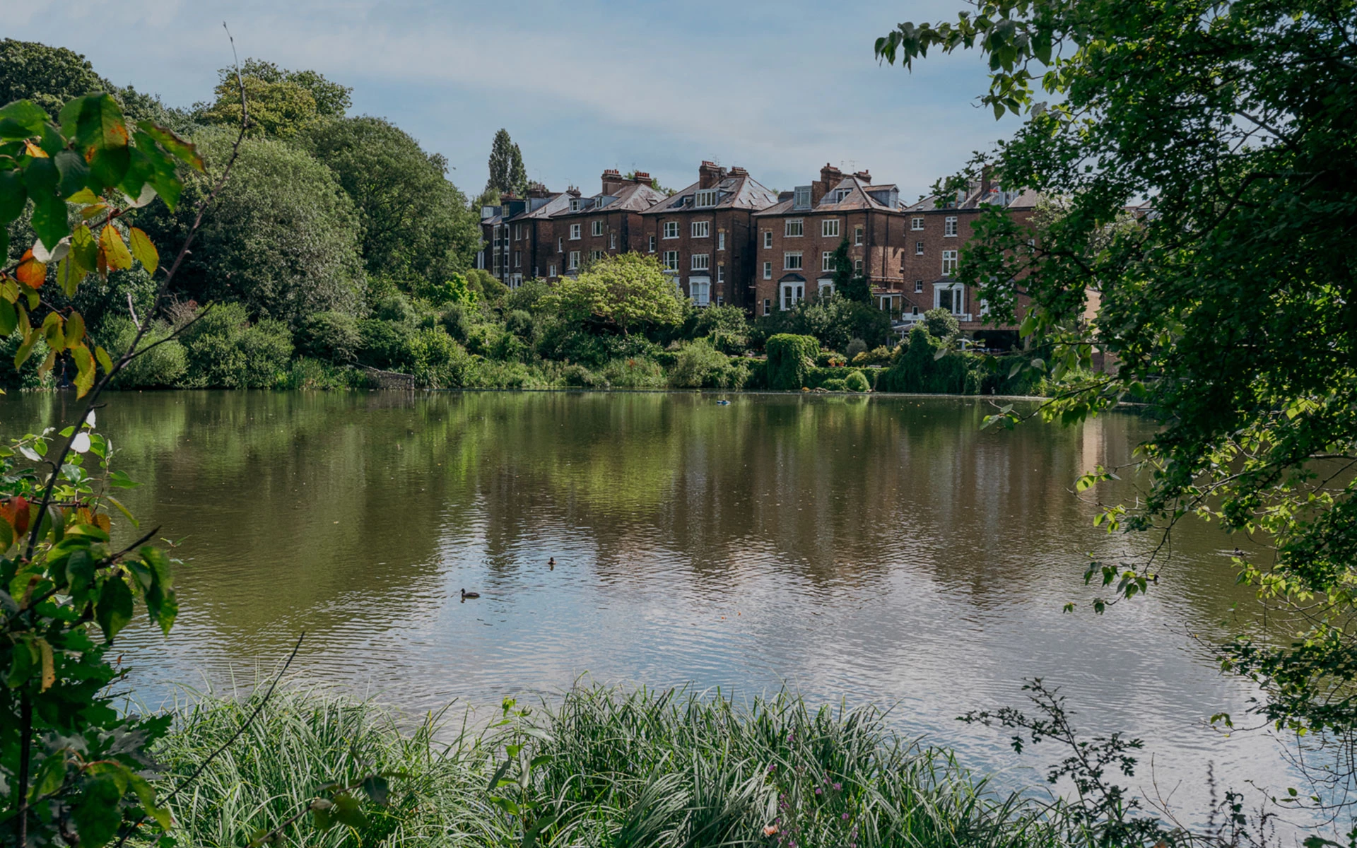 Your independent estate<br> agent in West Hampstead<br><span class='home-seperator'></span>