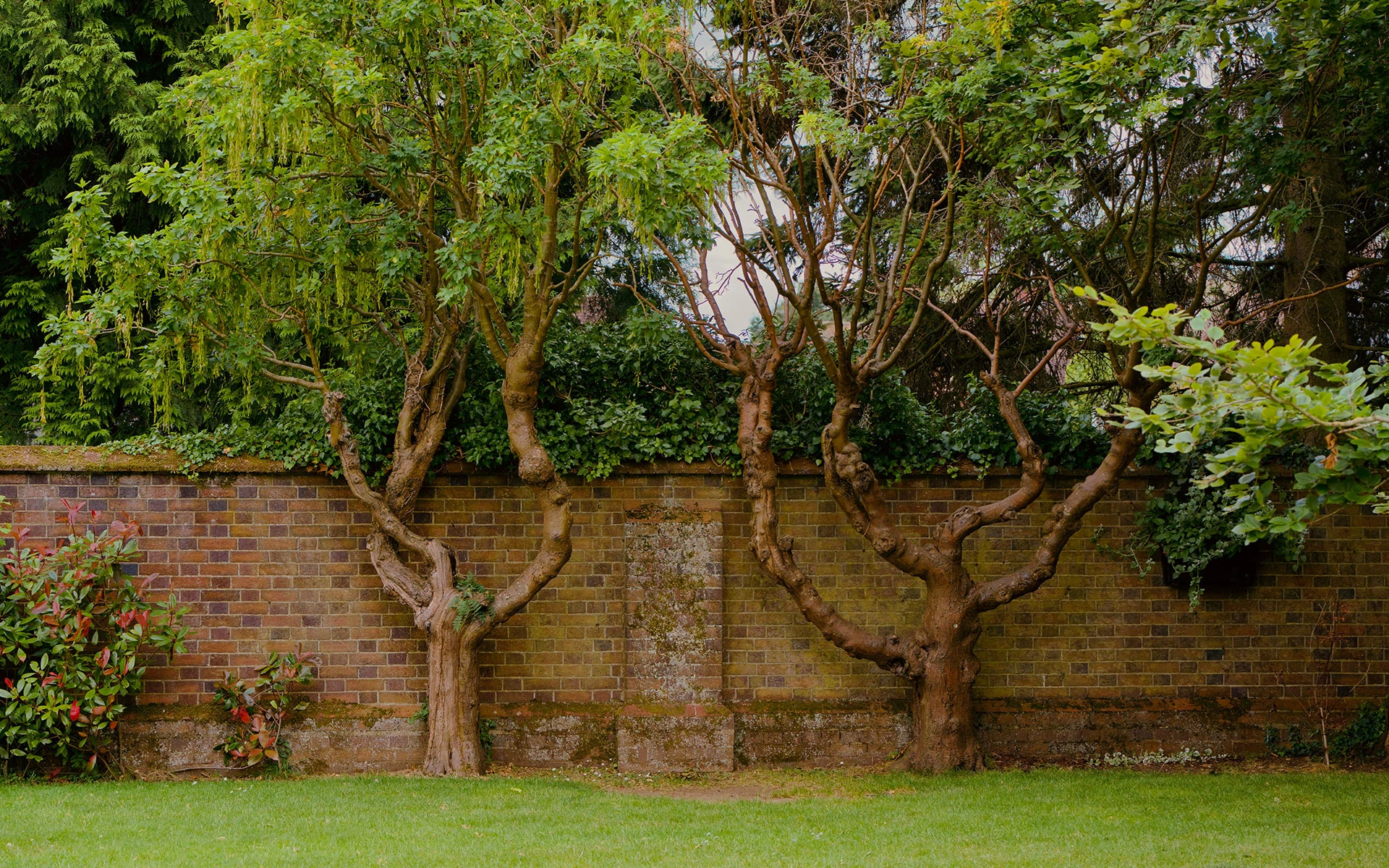 Langford Chase