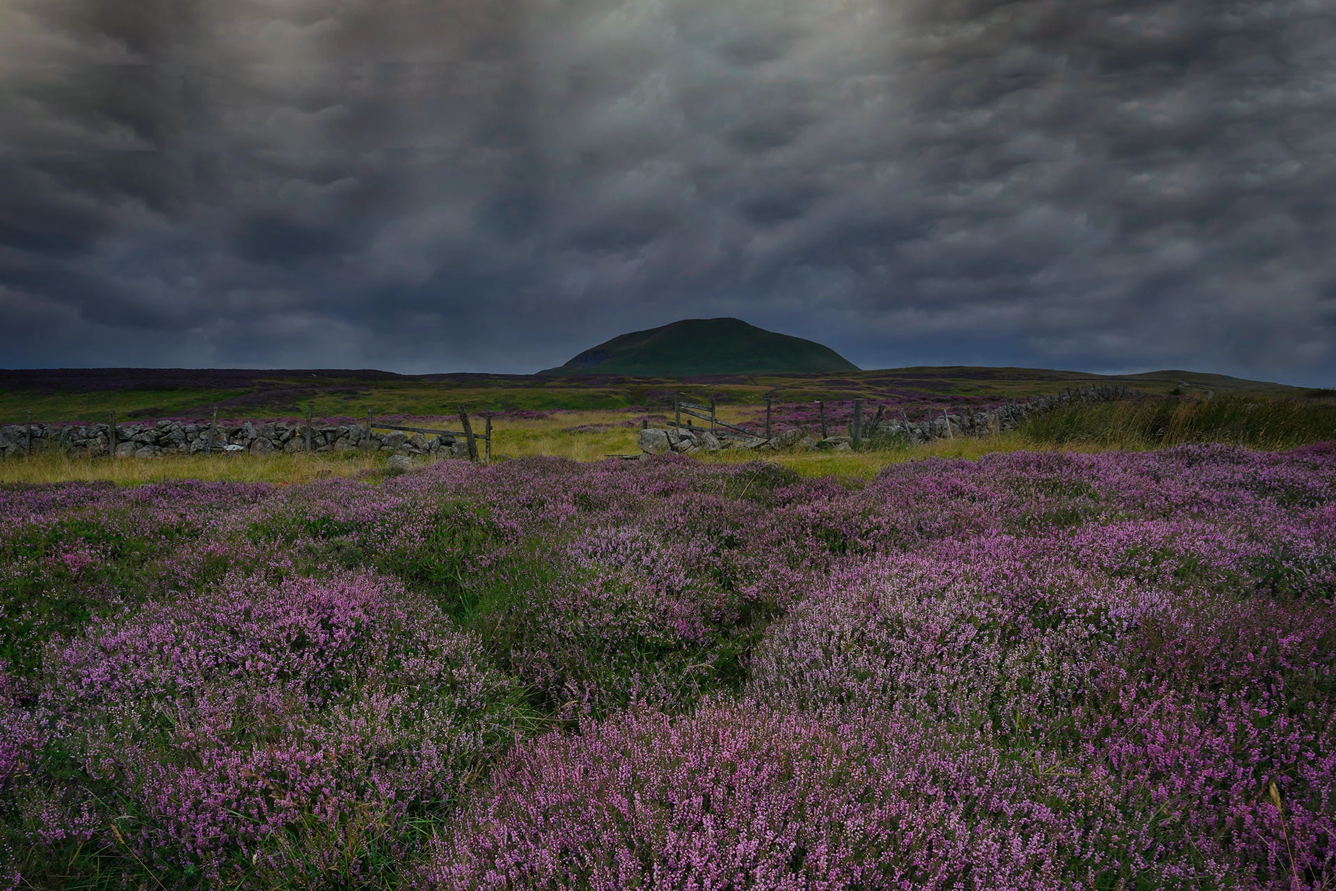 Don't just take our word for it