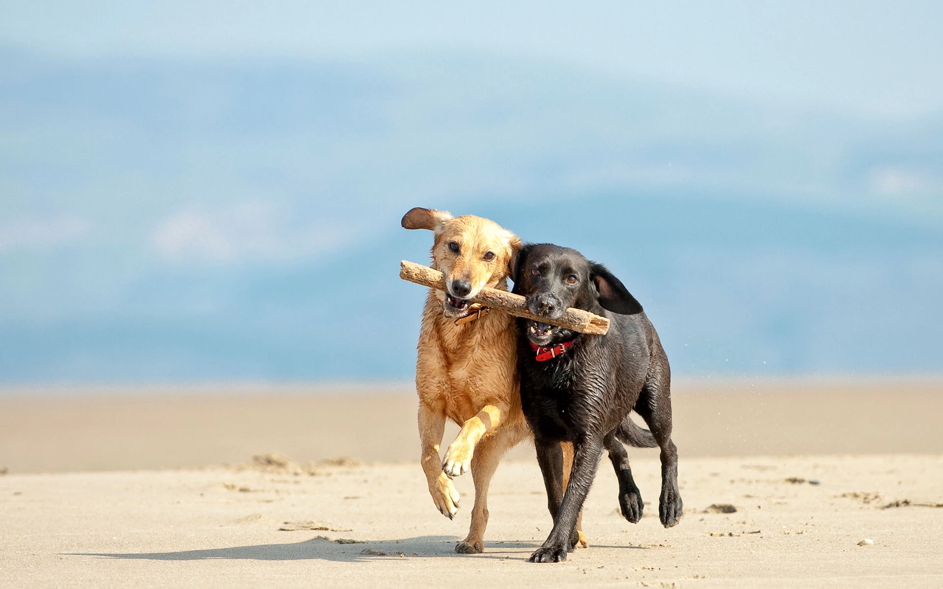 FEEL LIKE YOU'RE <br><span>MISSING OUT..</span>.