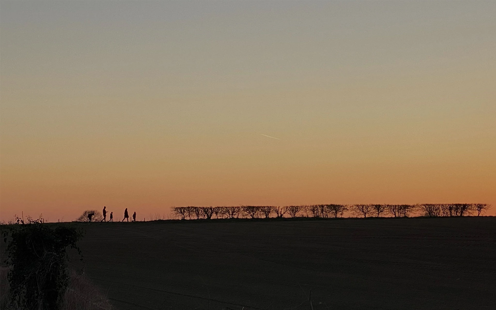 Estate Agents with a personal touch