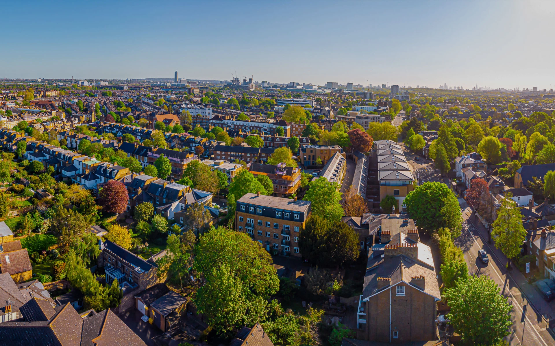 Thinking of letting?