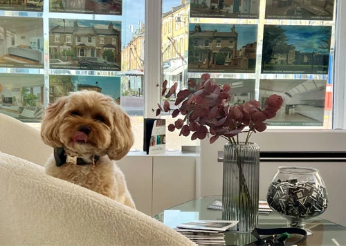 Teddy – Realm Relaxation Officer