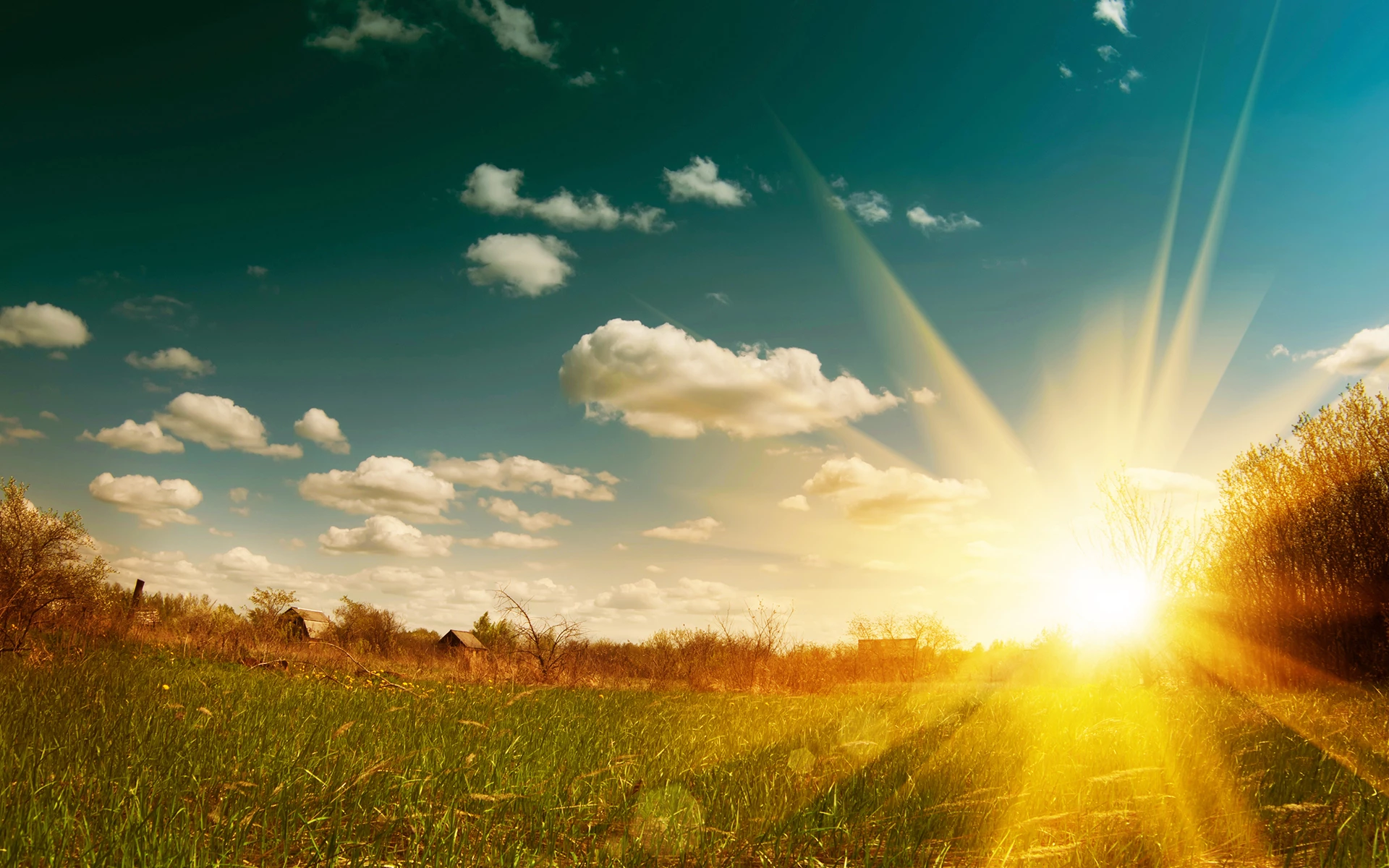 Chartered Surveyors & Agricultural Valuers