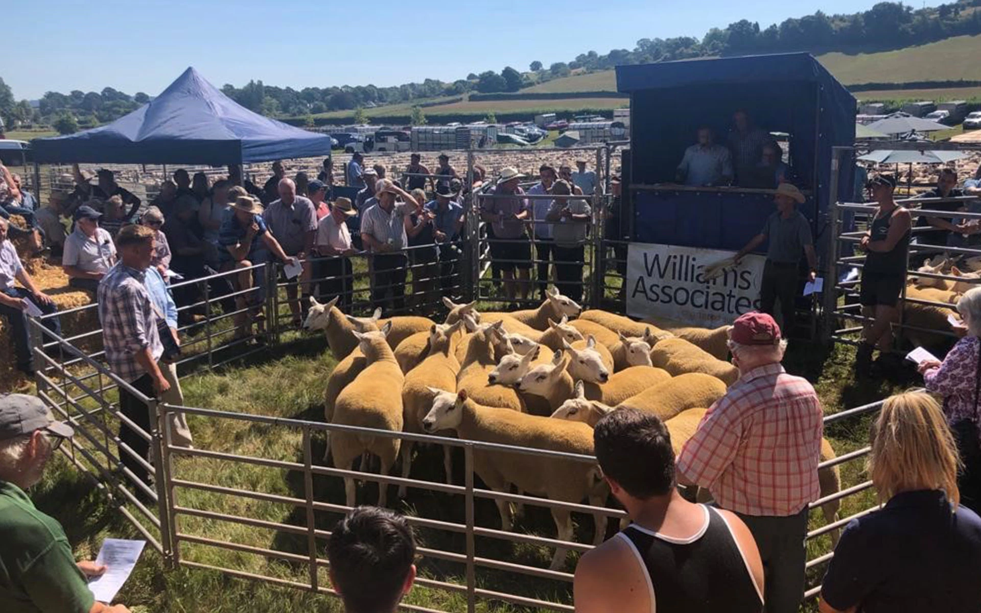 Rural Property Professionals Ltd T/A Williams Associates