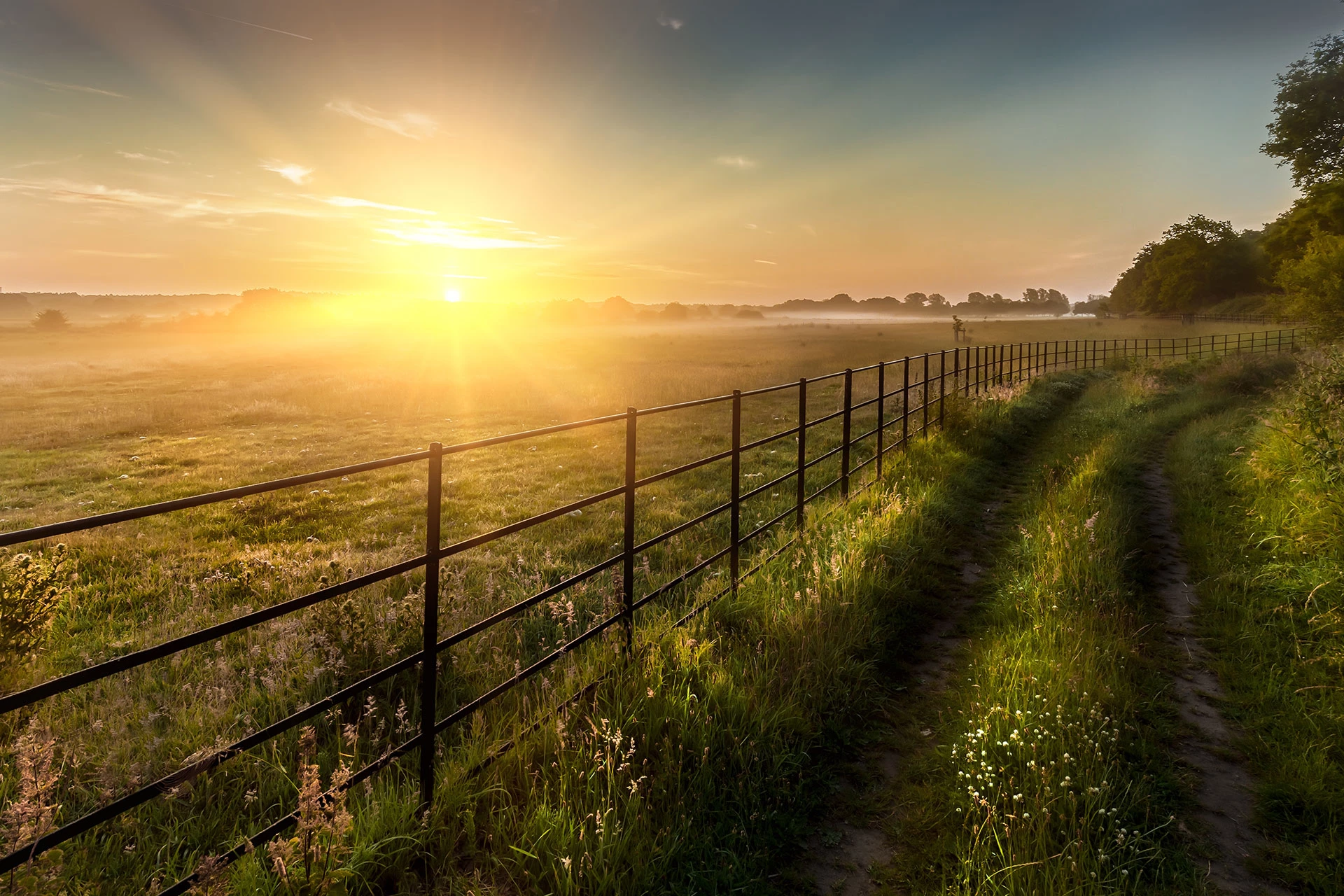 Rural Property Professionals Ltd T/A Williams Associates